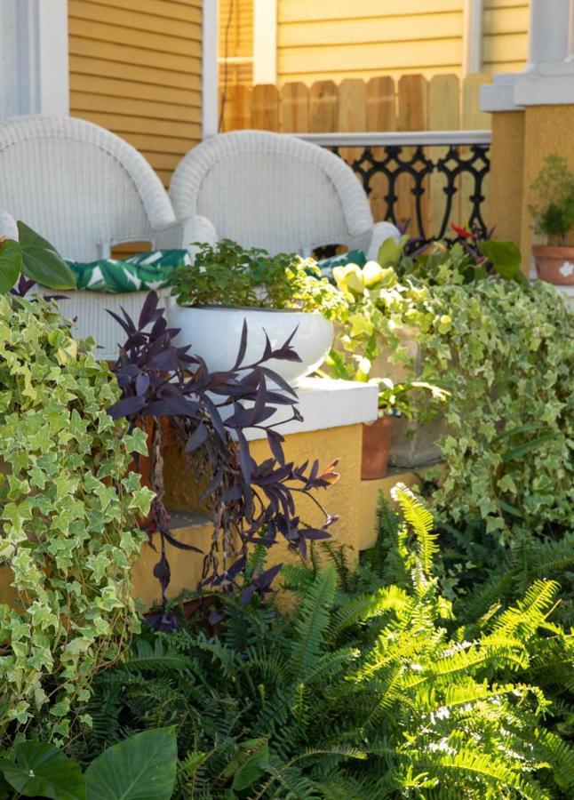 Auld Sweet Olive Bed And Breakfast New Orleans Exterior foto